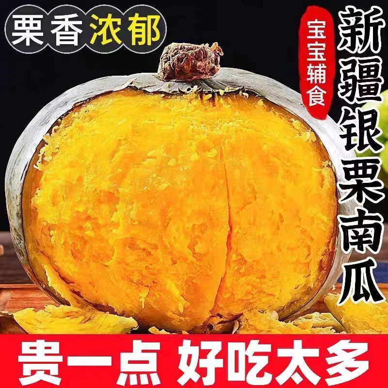 【新疆发货】新疆银栗南瓜 沙漠种植  粉糯香甜粗粮5斤