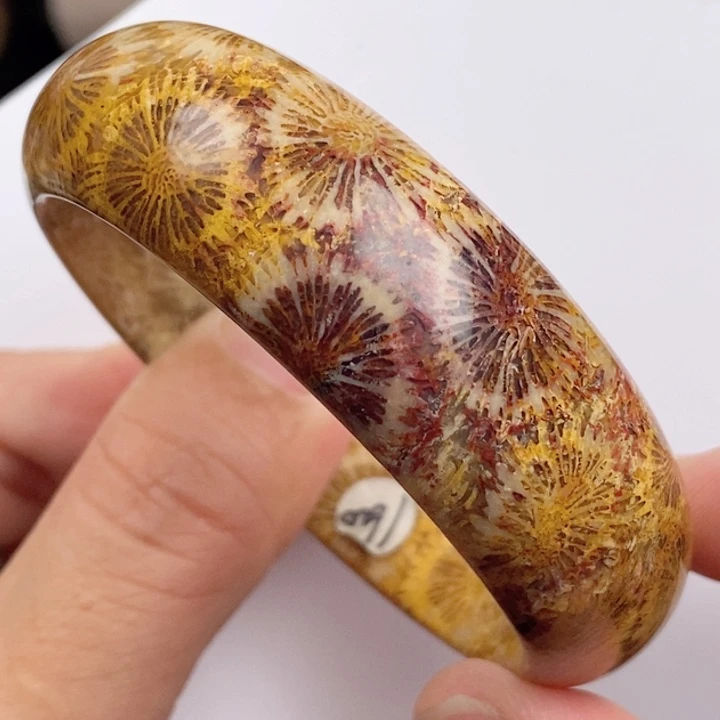 硅化玉未镶嵌颈饰52.5