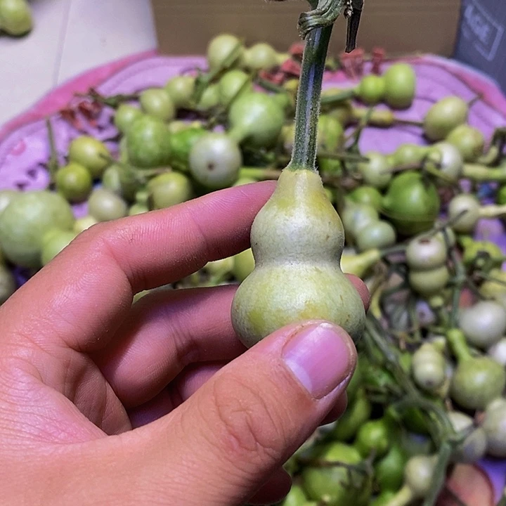 记**l长嘴哈哈哈哈哈哈哈哈哈哈哈哈呀我