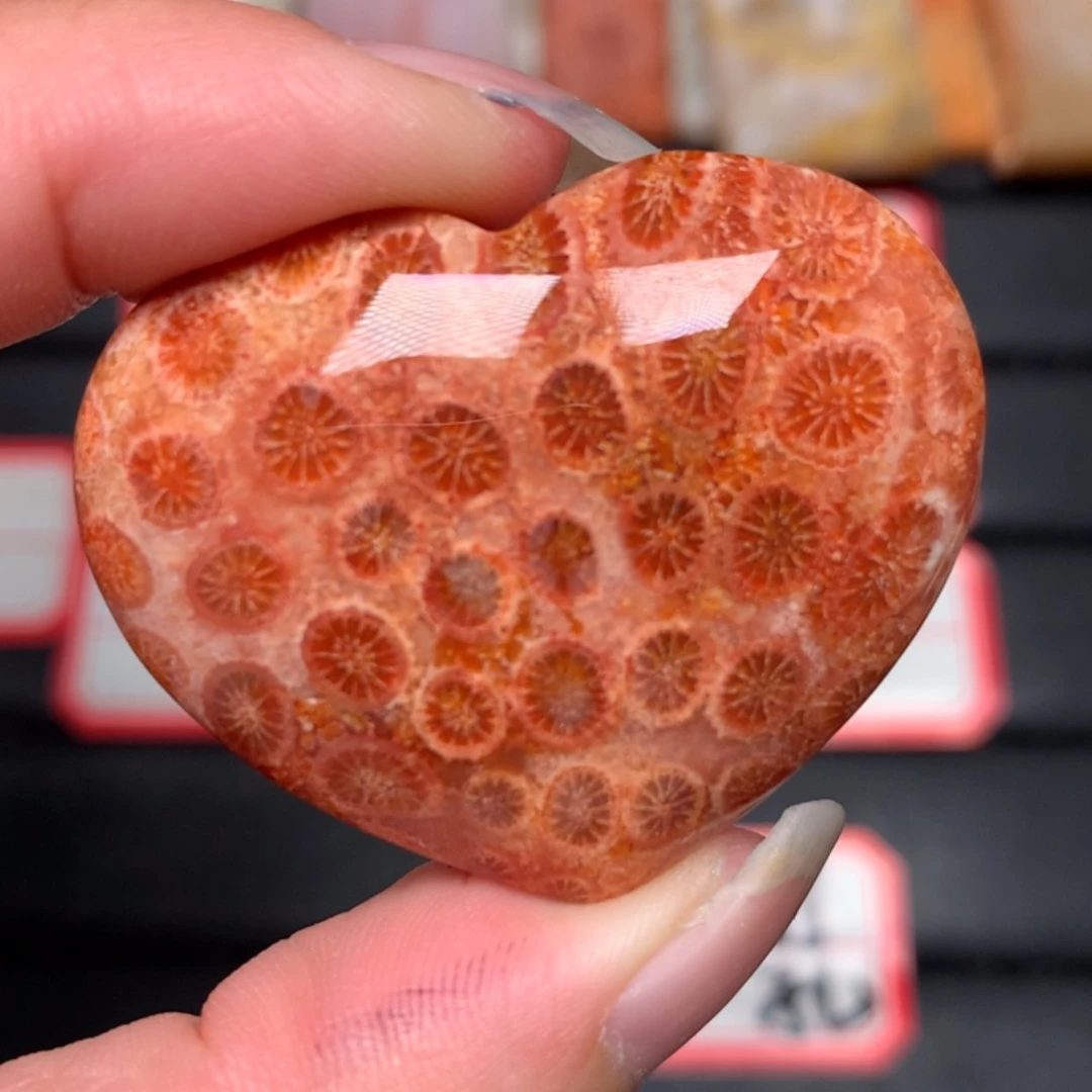 【闪购商品】硅化玉颈饰未镶嵌沐*漪