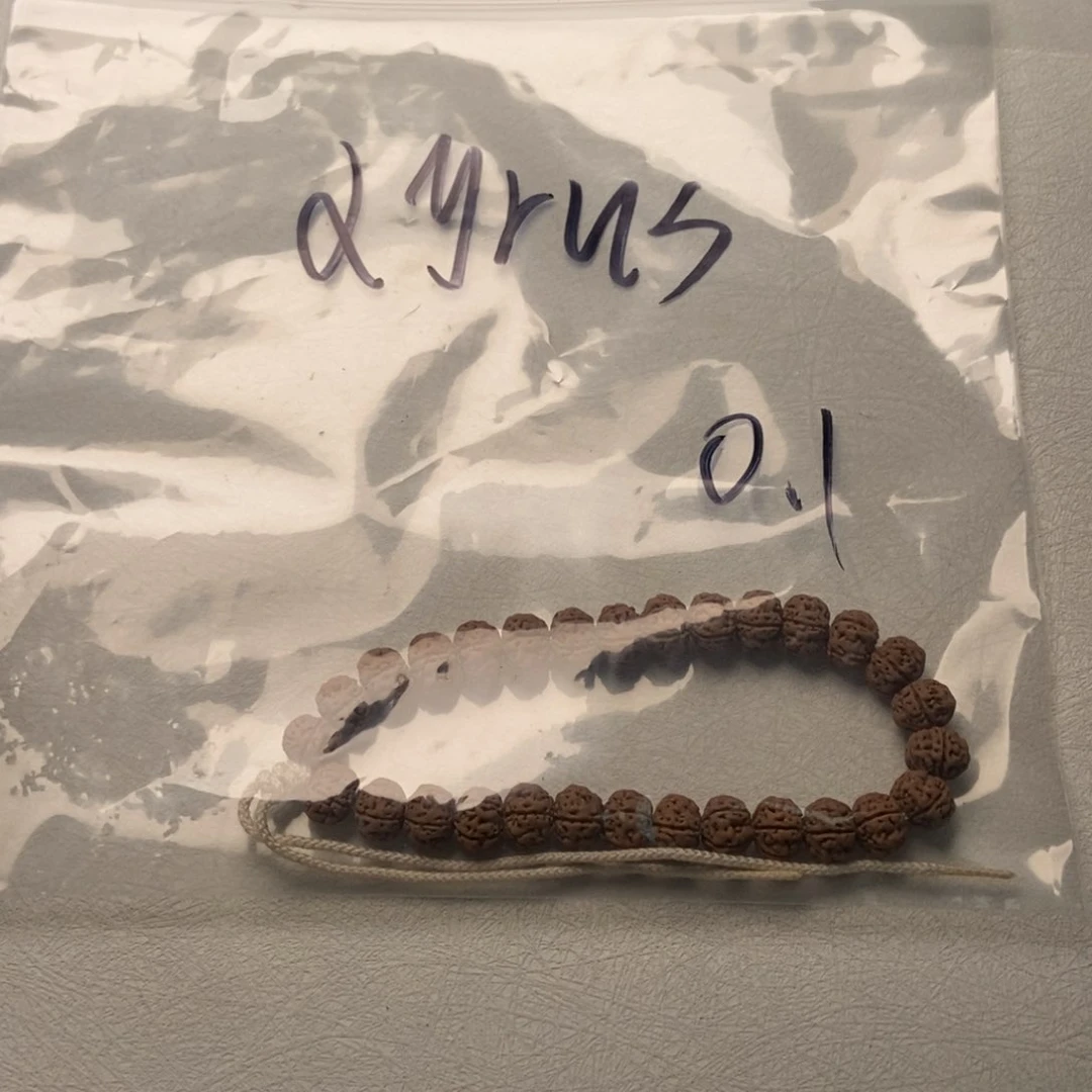 金刚菩提吊坠老树王