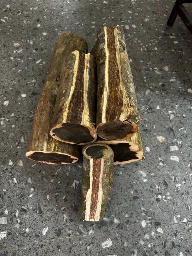 家居摆件 横财摆件 工艺品