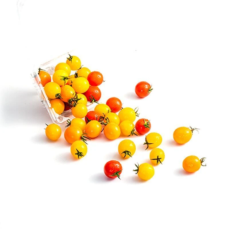 多彩小番茄一盒2斤装番茄同城配多彩樱桃小番茄