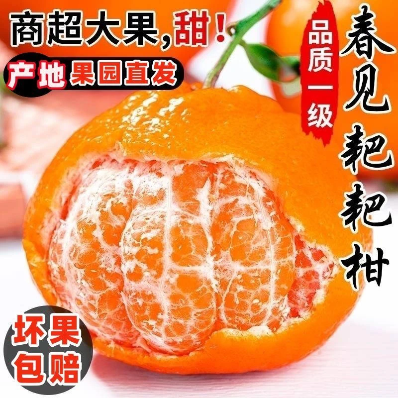 正宗高山不知火丑橘水果新鲜当季水果整箱丑怪丑柑酸爽春见耙耙柑
