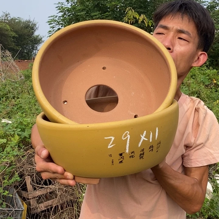 紫砂花盆没有什么不可以的事情就是说