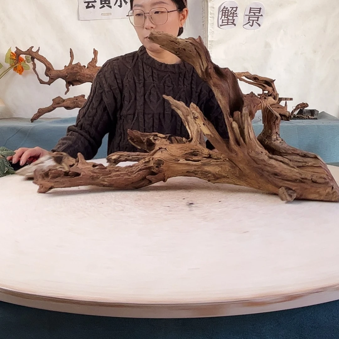 沉木造景爬宠造景