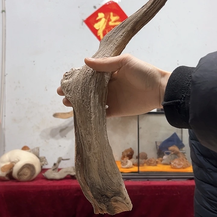 柏木蛇**转我们都是好孩子呀我