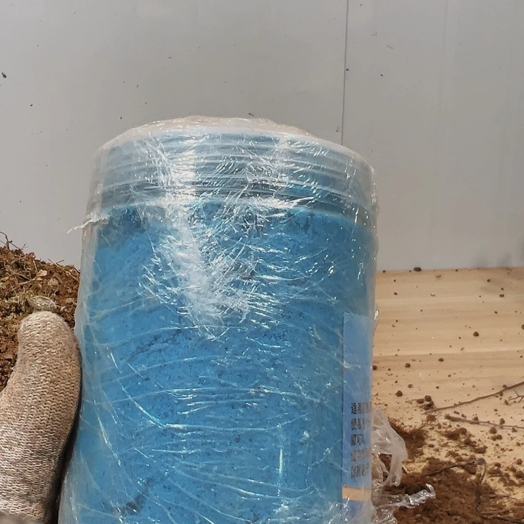 盆景皋月杜鹃叶面肥