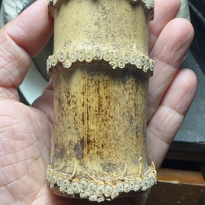 云***云竹根竹根一物一拍