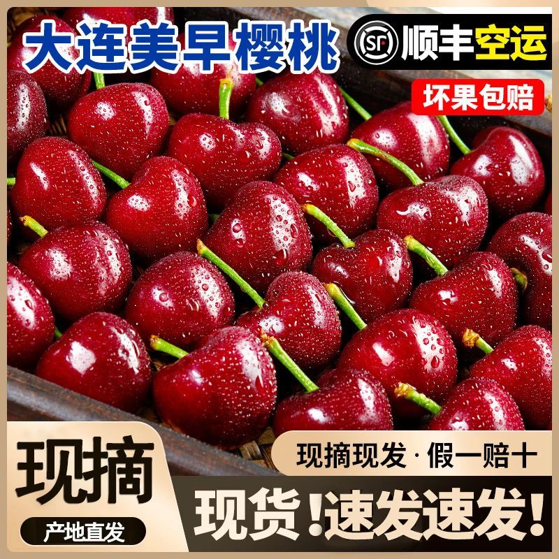 【5斤大箱装】大连美早大樱桃现摘顺丰空运包邮2J-7J 内附果径卡