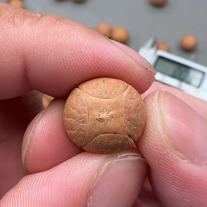 凤眼菩提吊坠尼泊尔13.5顶珠