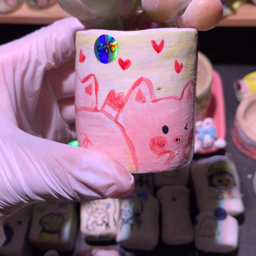 566花盆哈哈哈哈哈哈