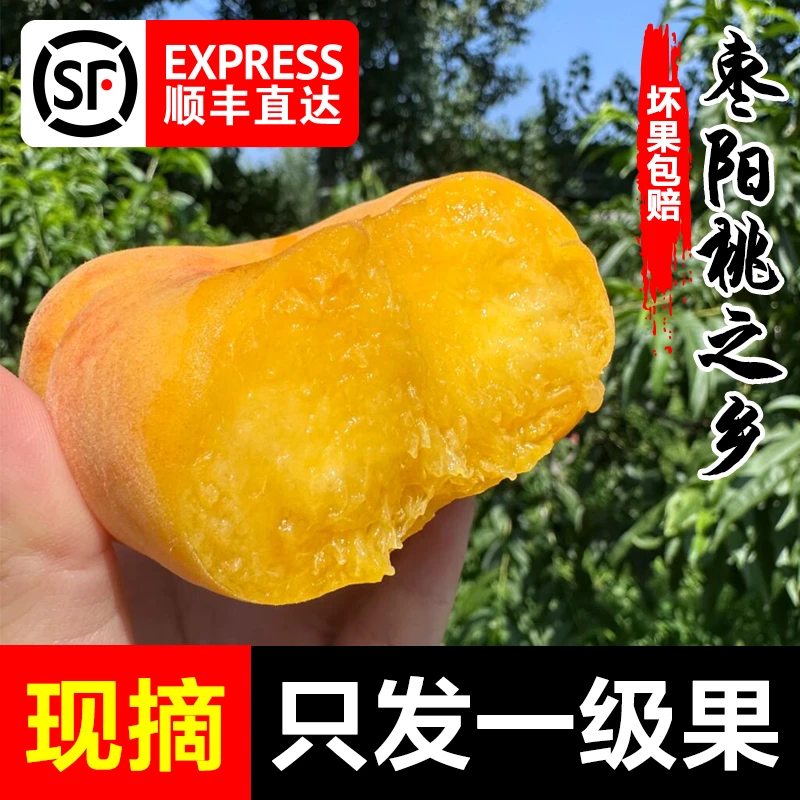 顺丰包邮湖北枣阳黄毛蟠桃油蟠新鲜现摘水果当季应季脆甜桃子