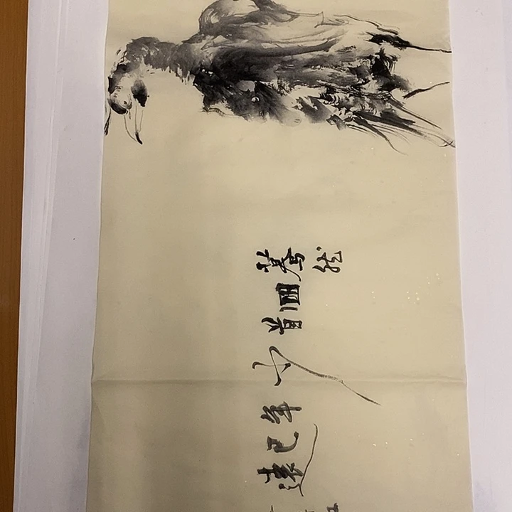 王***而国画水墨丹青画卷作品