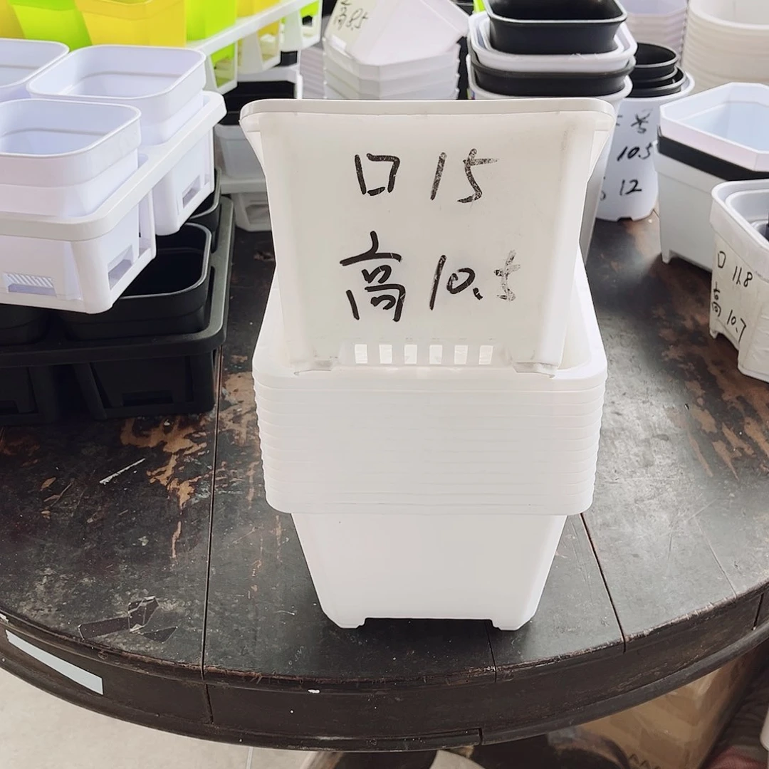 塑料福利款15方白色盆20个无托