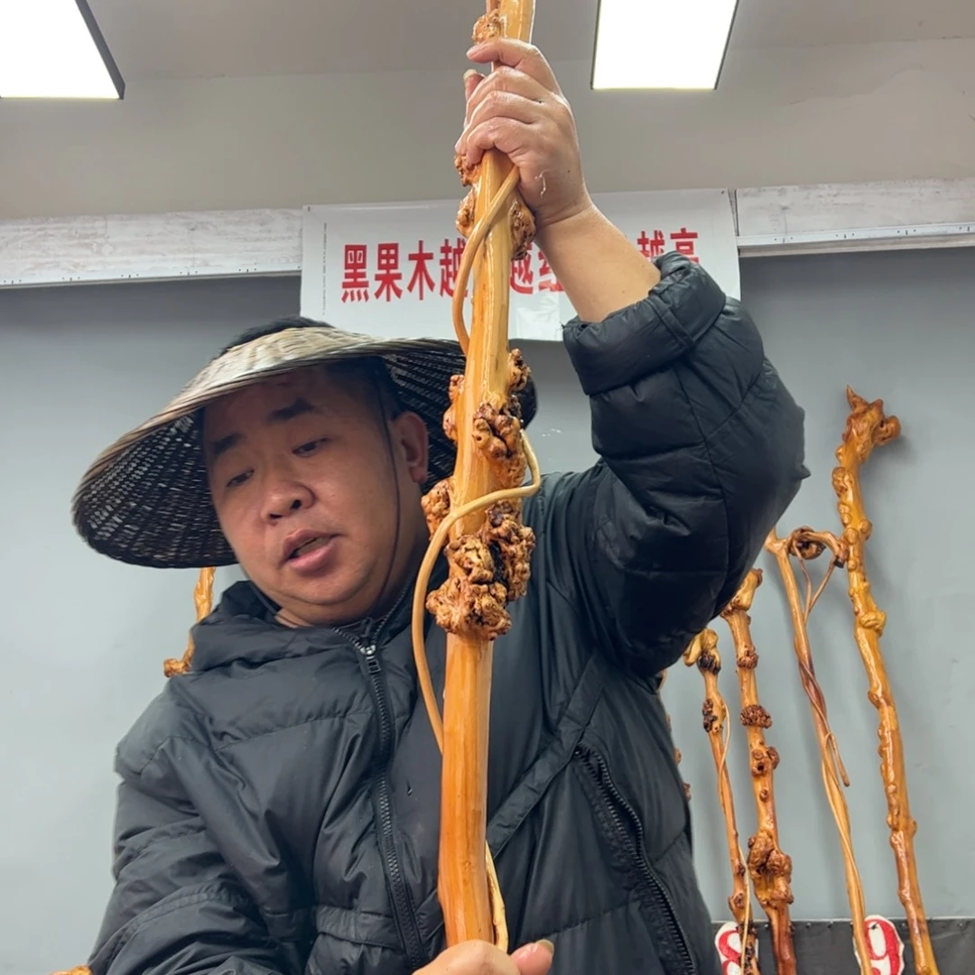 黑果木其他用****0黑果木991