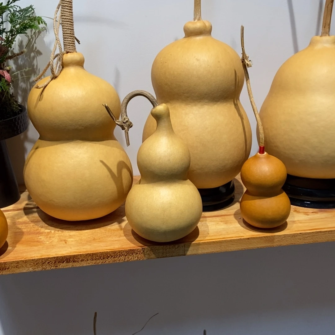 Y***o哈哈哈哈哈哈哈哈哈