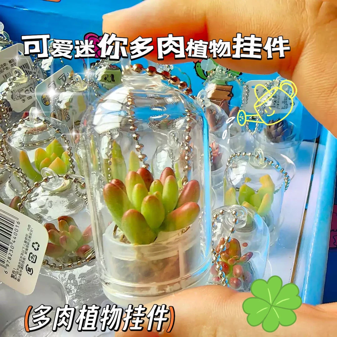 迷你多肉植物挂件创意小盆栽微缩景观挂件玻璃瓶钥匙扣学生小礼物