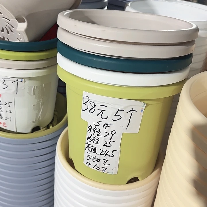 四季5#果绿5个无托口径29