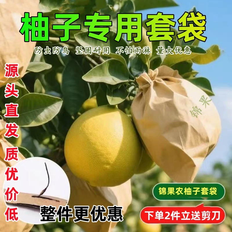 厂家直销柚子套袋蜜柚早熟专用套袋沙田柚防虫防水葡萄套袋专用袋