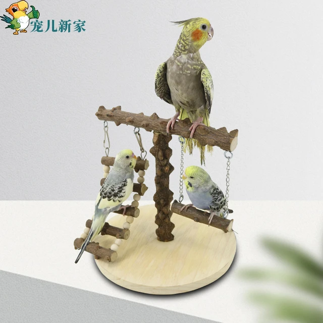 鹦鹉花椒游戏架架秋千鸟玩具台游乐场架站鸟攀 鹦鹉 架站爬梯训练
