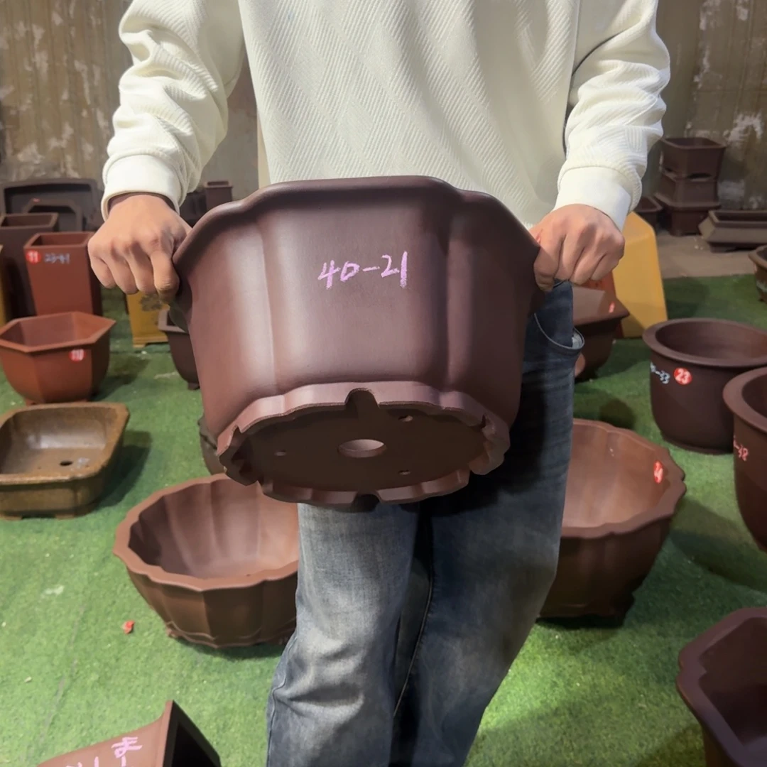 紫砂花盆紫砂花盆