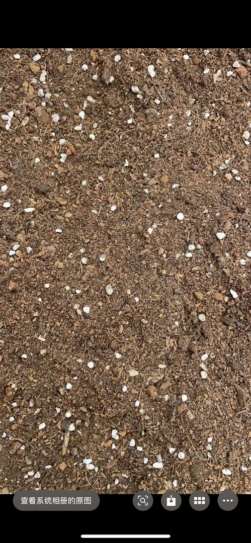 老桩多肉颗粒营养土，