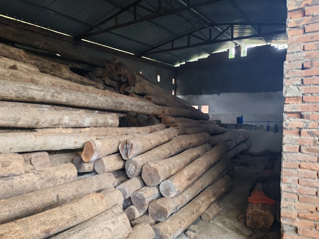 金丝楠木批发零售