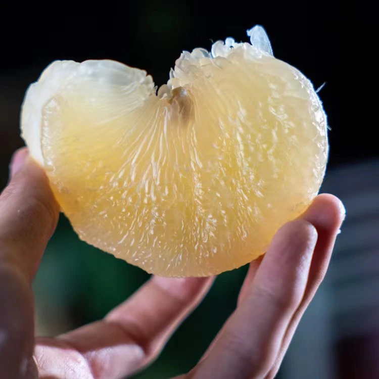 [玉环文旦柚子]正宗玉环原产地直发果肉脆嫩2.5-20斤