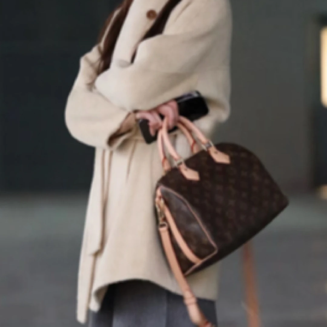 95新 LouisVuitton/路易威登 LV老花speedy25肩带972396