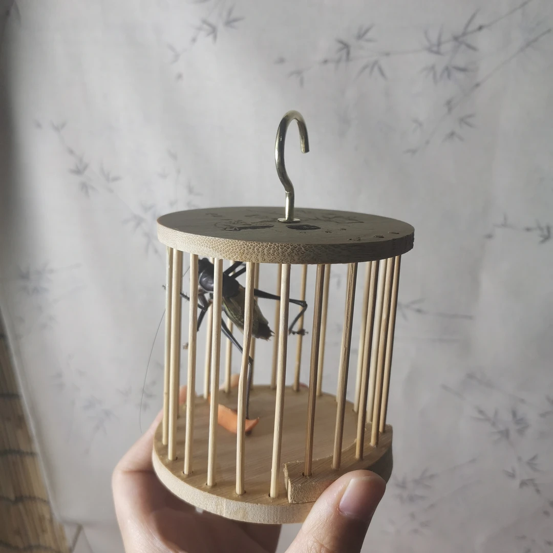 铁皮蝈蝈➕圆形形竹笼（顺丰包邮  偏远地区不包邮）