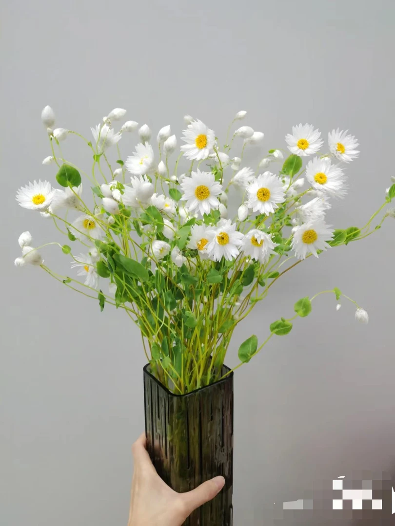 鲁丹鸟1把（约250克）-不含花瓶