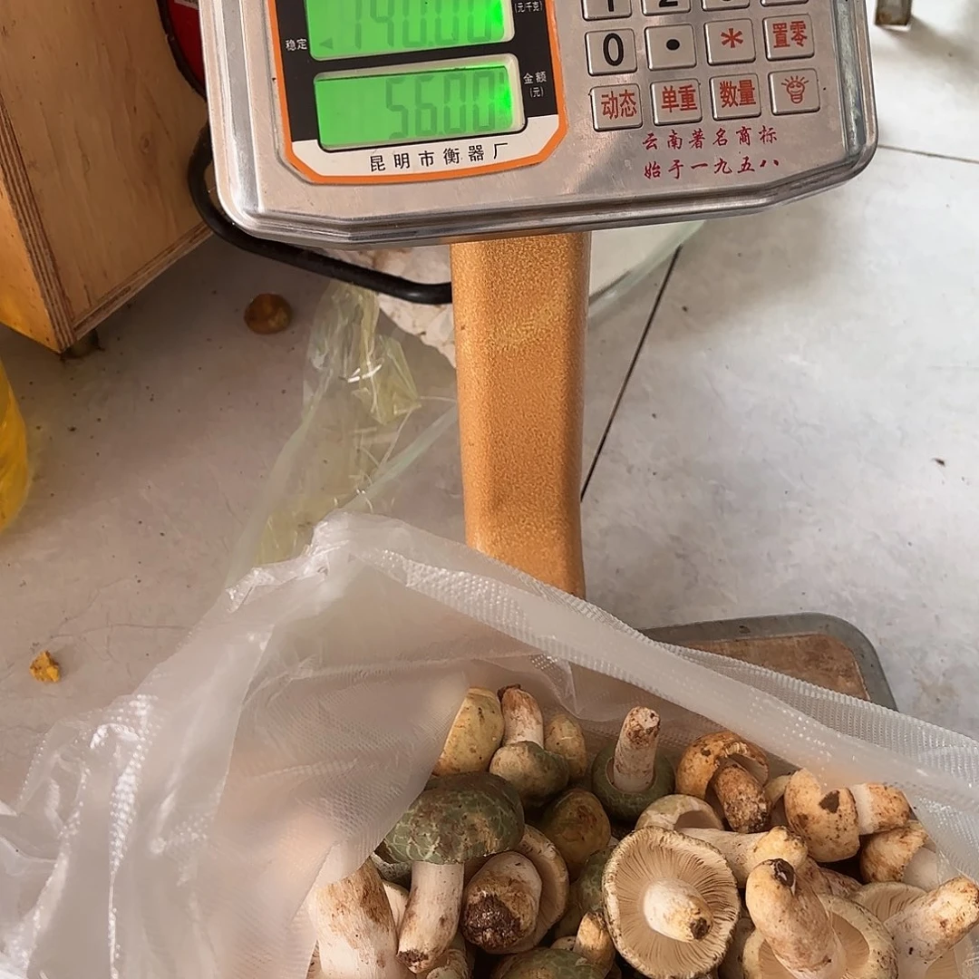 S***t云南小表妹野生菌代购中国大陆