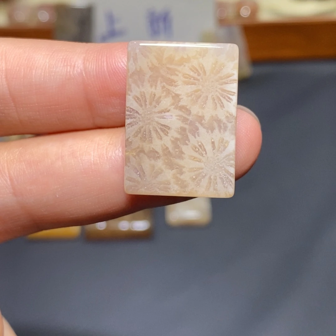 【闪购商品】未镶嵌珊瑚玉硅化玉