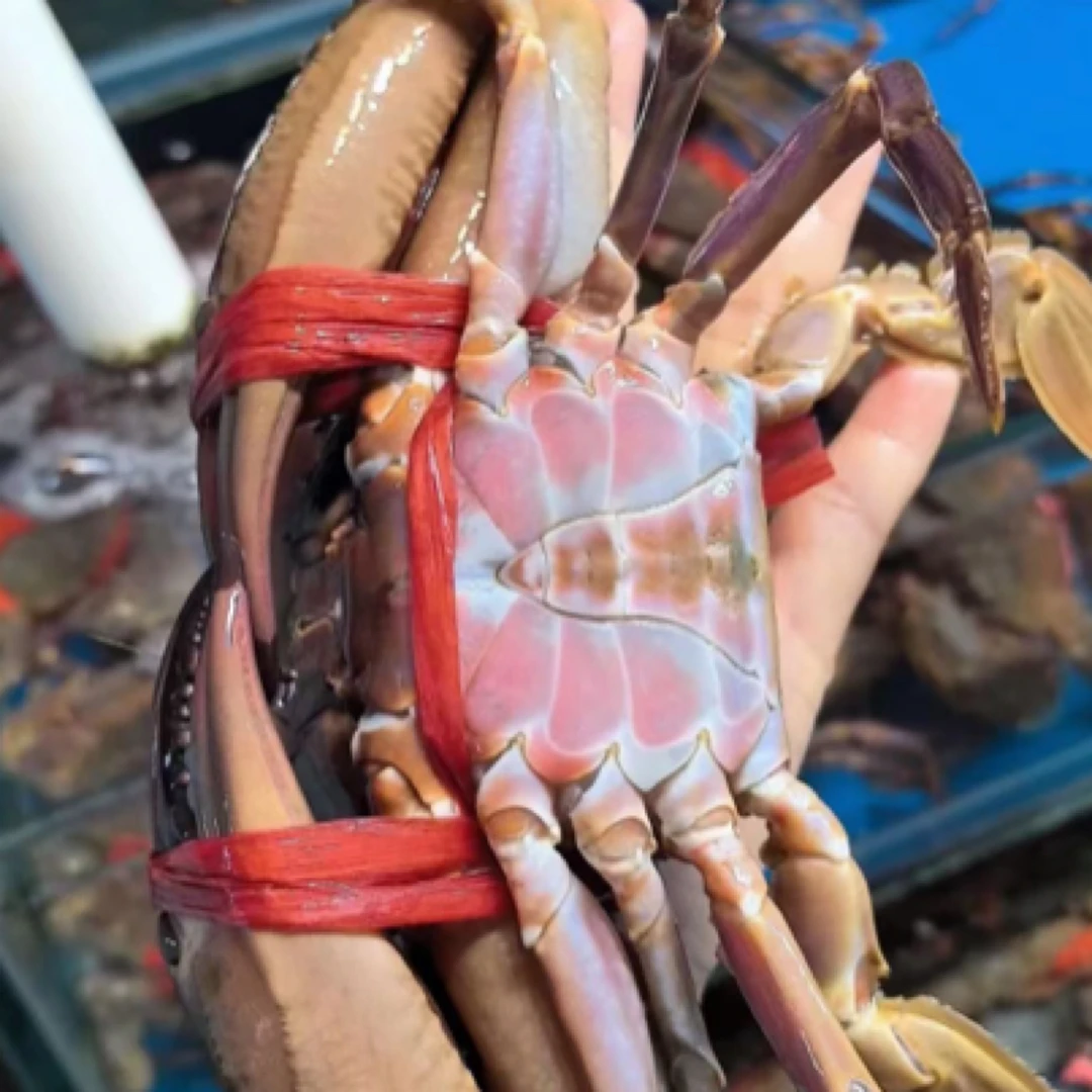 【鲜活】赤甲红（多斤数可选）