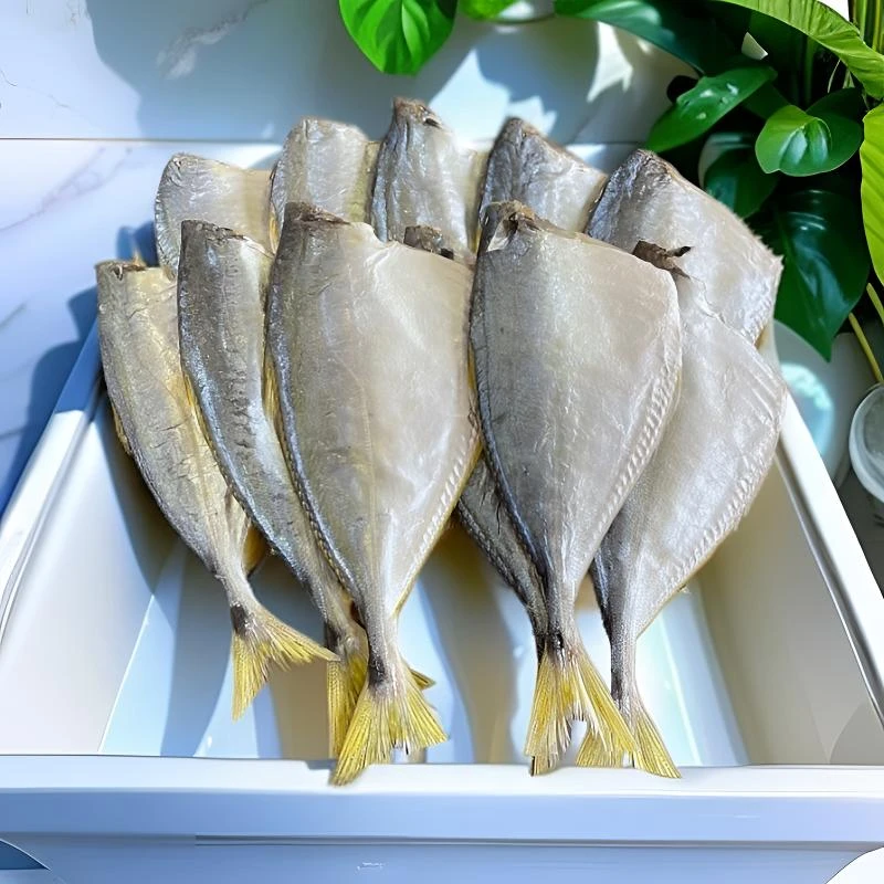 【台山黄尾池】大海鱼干 淡口 野生海鱼 6-7成干 自然晾晒