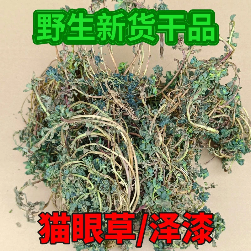 泽漆中药材猫眼草整棵新鲜干草河南野生泡水喝真品晒干