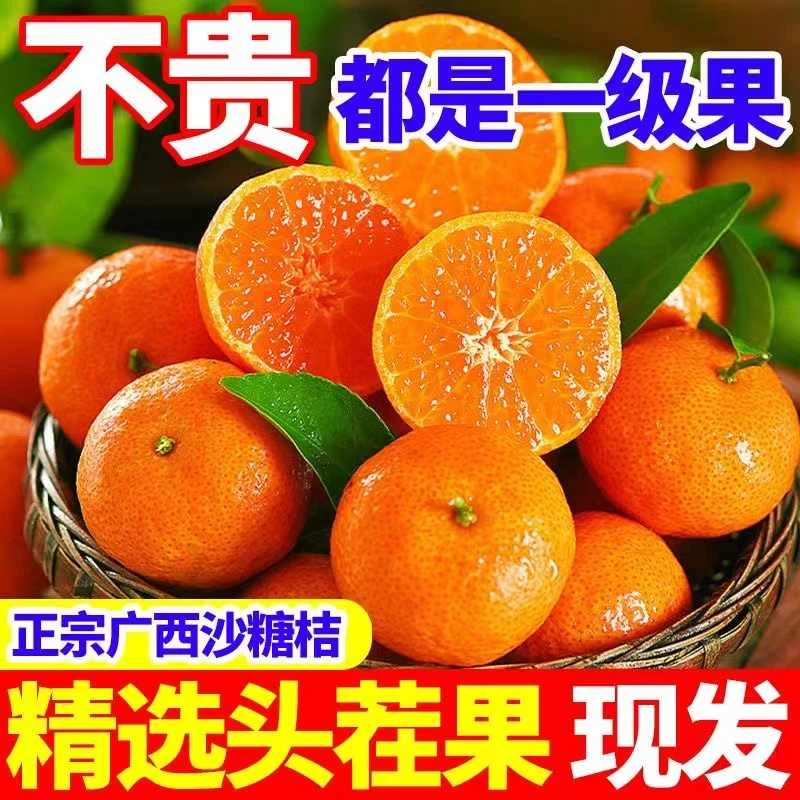 正宗沙糖桔子新鲜水果当季广西砂糖橘整箱金秋沙糖蜜桔小柑橘包邮