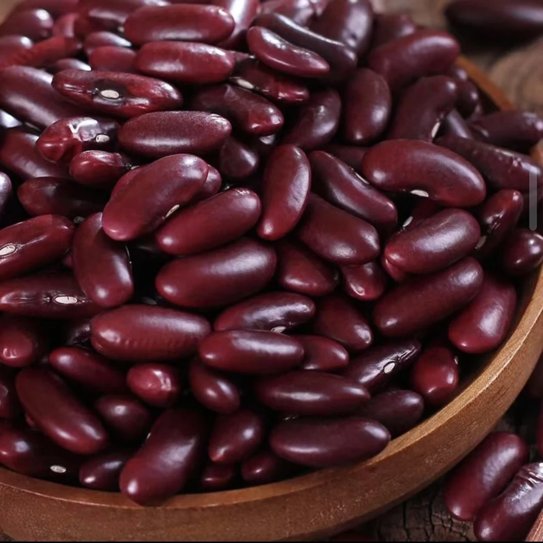云南农家种植大粒红腰豆红芸豆五谷杂粮可煲汤煲粥