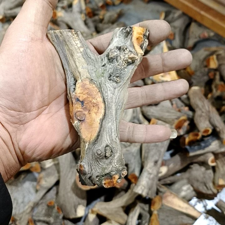 s***垚香榧木崖柏原叉崖柏原叉崖柏