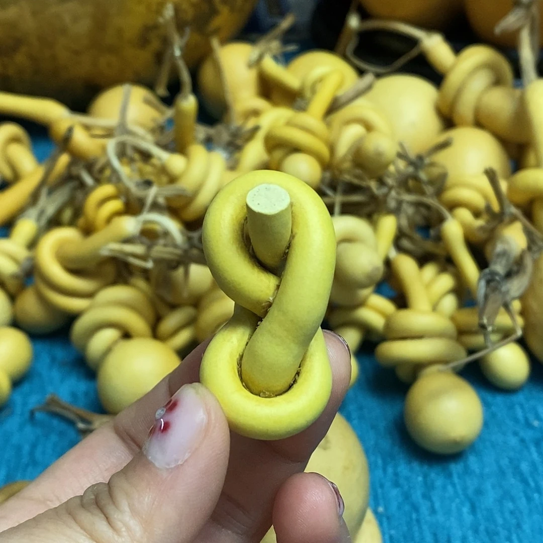 珠***貝一把葫芦便宜漏了