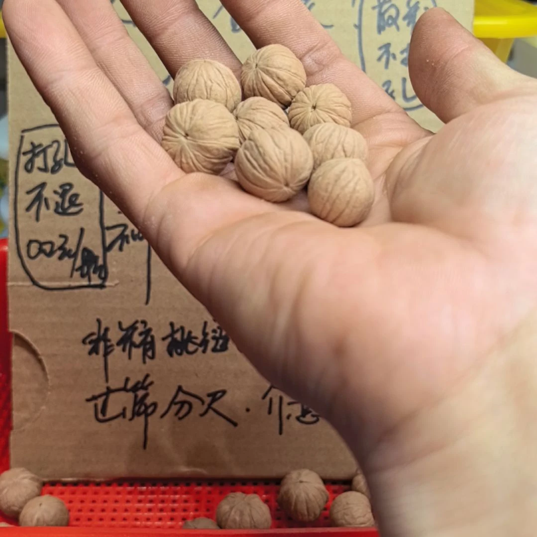 城***送吊坠猴头核桃15高桩龙脊过筛肉眼挑20颗