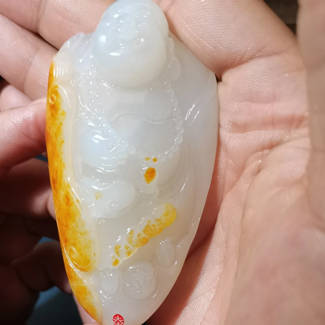 佛公8.5HX多样性拍一发一