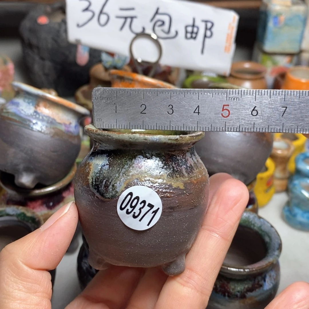 拍5送一个小礼物