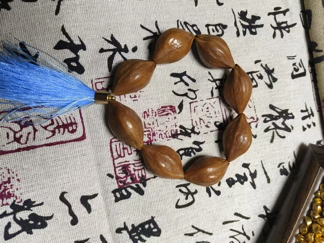 橄榄核铁核素串 1.8+
