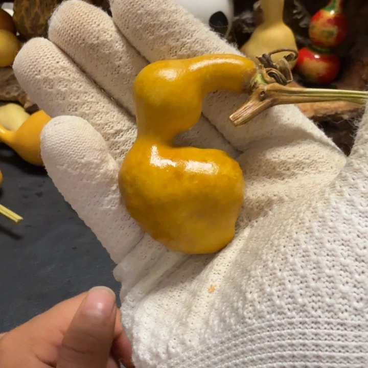 白***啦7888887778888888