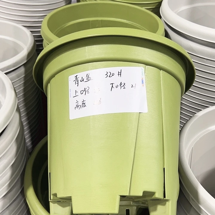 特价青山口32高28果绿无托5只