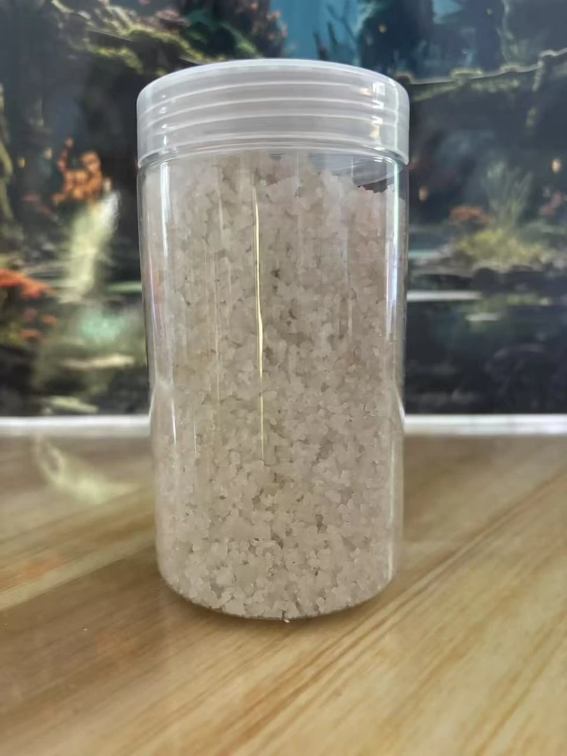 陆生寄居蟹宠物 海盐