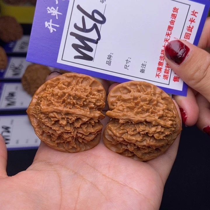 W156链接 满天星42尺 000