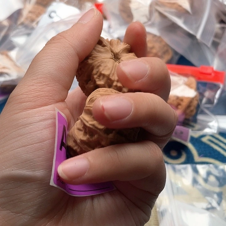 文玩核桃把件天地